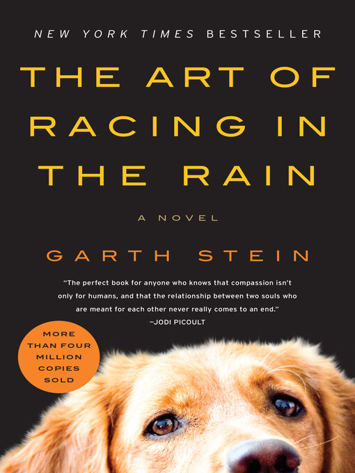 Title details for The Art of Racing in the Rain by Garth Stein - Wait list
